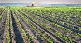 loren ipsun dolor atme loren ipsun