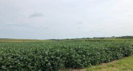 loren ipsun dolor atme loren ipsun