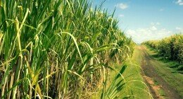 loren ipsun dolor atme loren ipsun