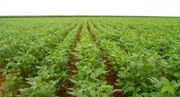 loren ipsun dolor atme loren ipsun