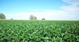 loren ipsun dolor atme loren ipsun